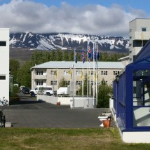 Að morgni 17. júní á Skólatorgi