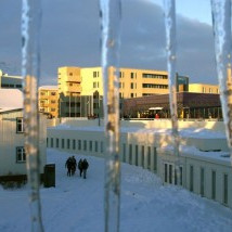 Hádegi í nóvember