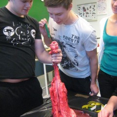 Krufning hjá Kristínu og 3XY