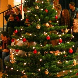 Jólatré í Kvosinni stendur...