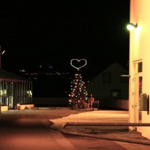 Hjartað og jólatréð á Skólatorgi