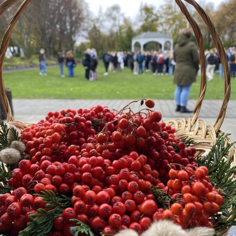 Fréttabréf haustannar er komið út