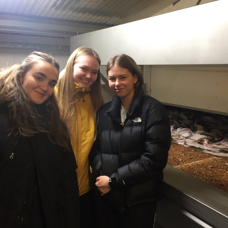 Nemendur skoða Laugafisk í Reykjadal