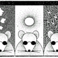 Þýskuþrautin 2017