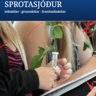 Styrkir úr Sprotasjóði