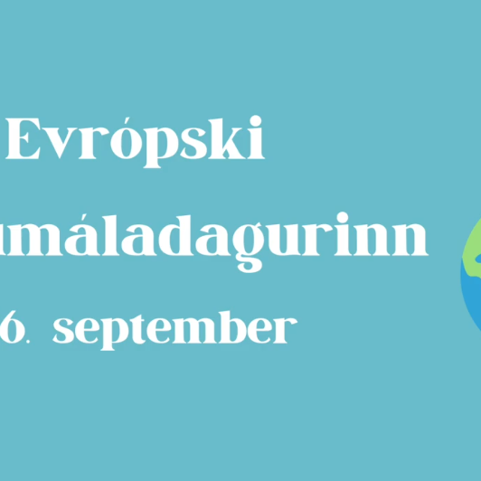 Skjáskot af myndbandi.