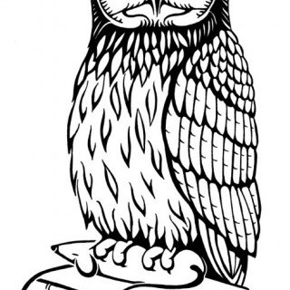 Uglan hefur lengi verið eitt af táknum MA