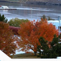 Útsýni frá Hólum